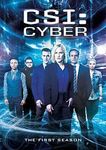 CSICyber.jpg